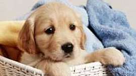 Timeline: Àngel i Esteve 6èC