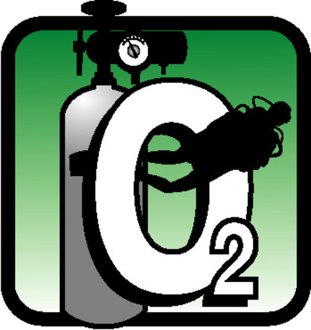 400 mya Oxygen nears present day levels.