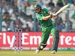 how did i learn cricket