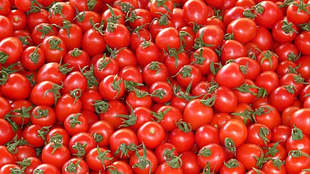 When arrive the tomatoe to Spain: