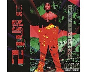 Strictly 4 my N.I.G.G.A.Z.