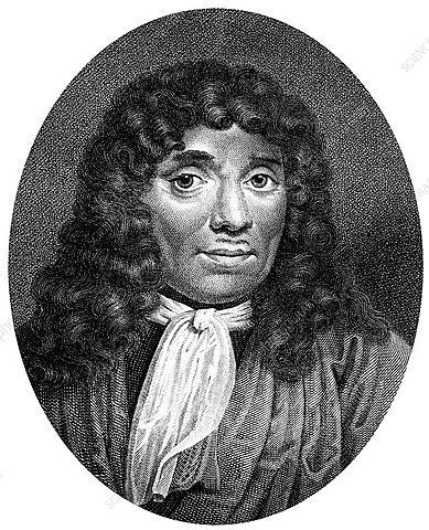 Antoni van Leeuwenhoek  (1632 - 1723)