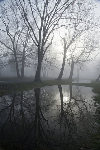 Lennox Description of the Strange Weather Last Night