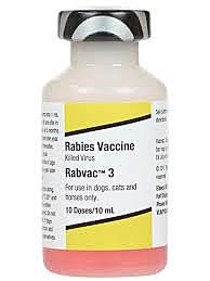 Rabies vaccine first licensed in the US