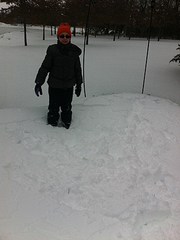 The day i cut my own hair