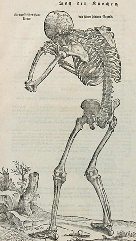 publicació de gravats