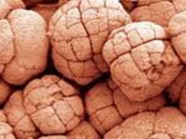 oldest eukaryote fossil (1.8 bya)