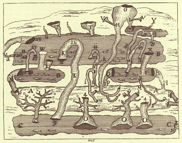 Janez Vajkard Valvazor je bil sprejet v angleško Kraljevo družbo.