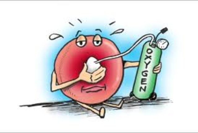 oxygen nears present day levels (400 mya)