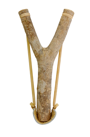 Hassan stands up for Amir