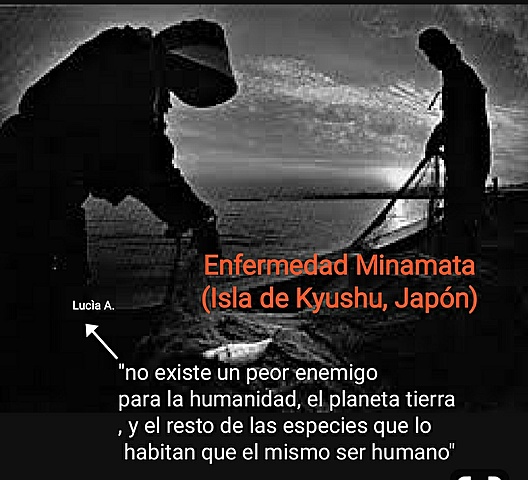 Impacto Ambiental 1.1