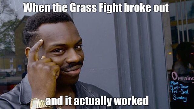 Grass Fight