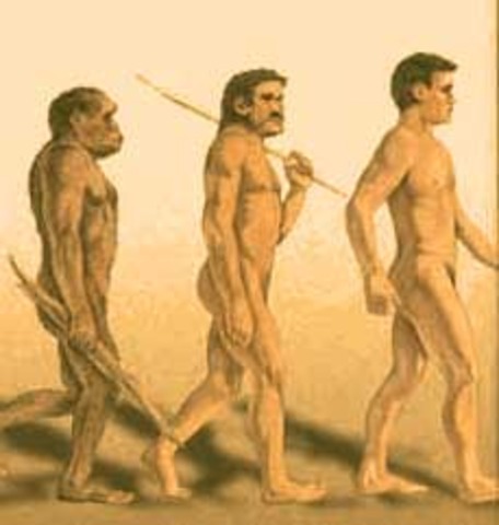 modern humans (1000 years ago)
