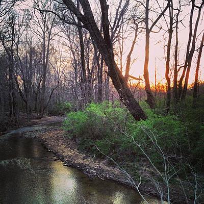 Timeline: cameron  7th