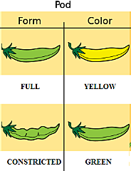 Meteorological Society