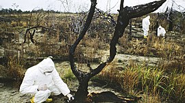 Timeline: El desastre de Chernóbil