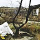 01 chernobyl