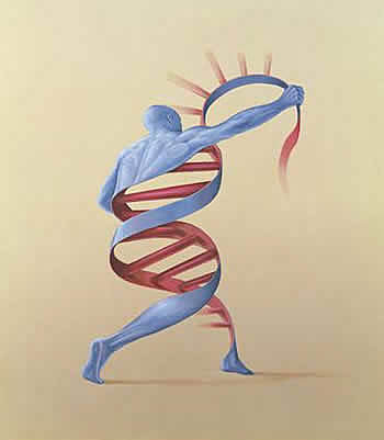 Siglo XX - El estudio del sistema nervioso y el de la mente humana