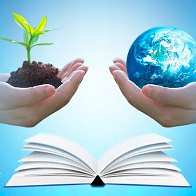 Timeline: Impacto Ambiental