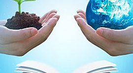 Timeline: Impacto Ambiental