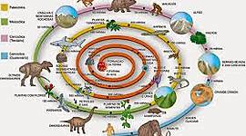 Timeline: Las teorías de la evolución