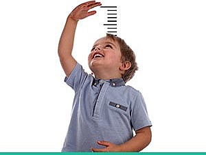 Desarrollo Cognitivo