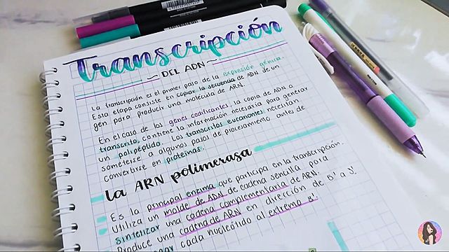 primera semana de clase