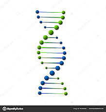 Descubren la estructura del ADN.