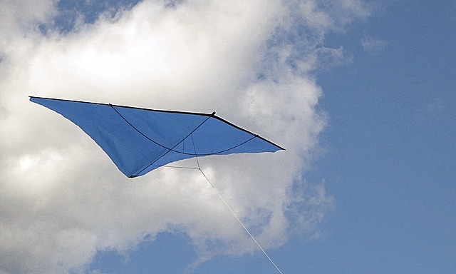 Amir wins the Kite Tournament and betrays Hassan