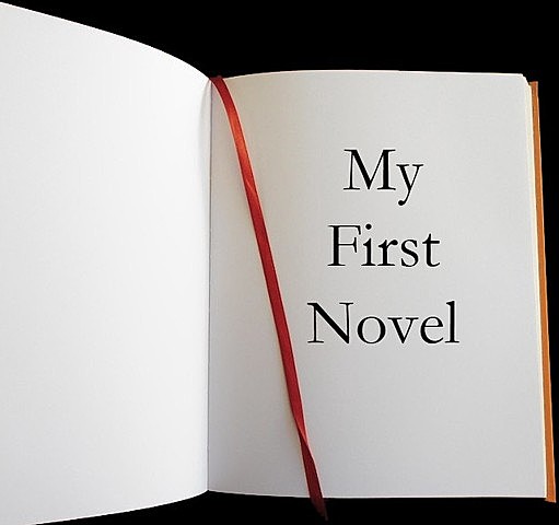 Amir publish his first novel