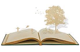 Amir goes to Pakistan to see Rahim Khan