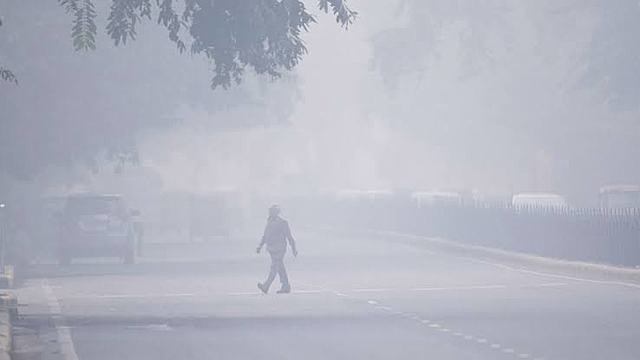 Nueva Delhi : vivir en una ciudad en la que se respira veneno