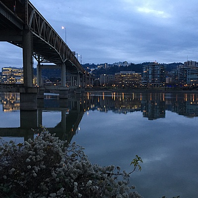 Timeline: My Erikson Timeline