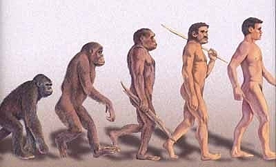 Hominids appear -> present day