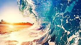 Timeline: Marine Biology History