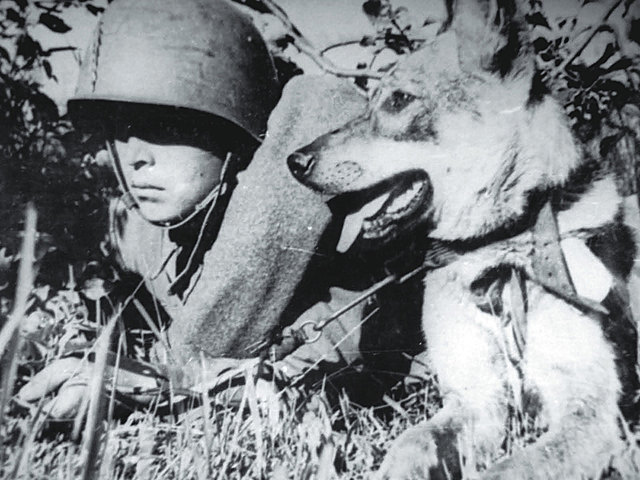 Служба в армии