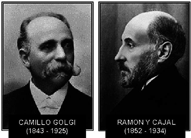 Cajal y Golgi reciben el premio Nobel