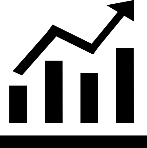Consolidación del concepto de portal