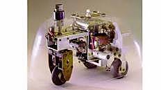 Tortue cybernétique