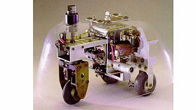 La tortue cybernétique