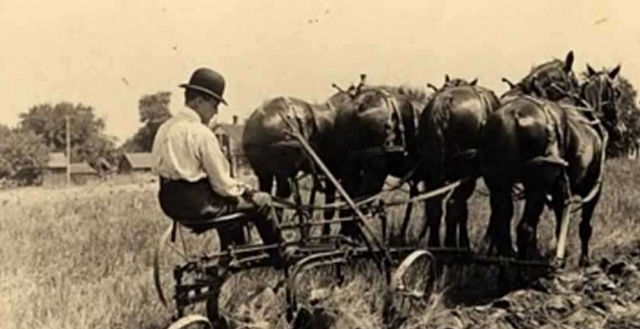 Agricultural Revolution