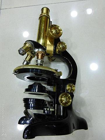 Microscopio compuesto