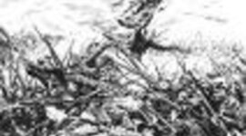 Timeline: The Civil War