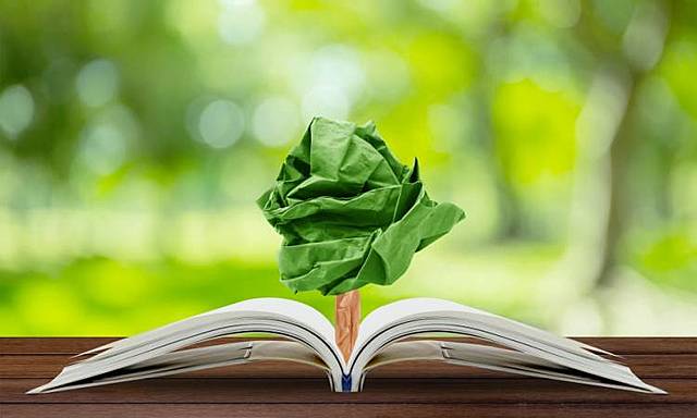 Educación Ambiental se estableció