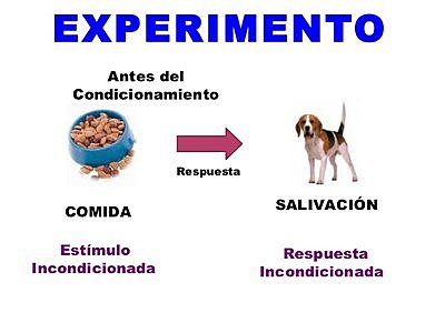 Ivan Pavlov "Teoría del condicionamiento clásico."