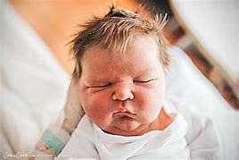 ivan the terrible was born