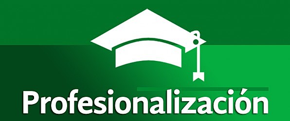 Época de la profesionalización