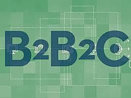2020 B2B2C