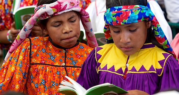 Ley del Instituto nacional de los pueblos indígenas