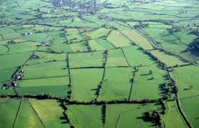 The Enclosure Movement